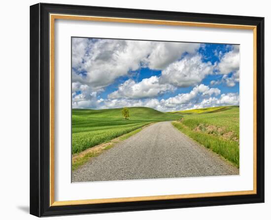 USA, Idaho, Palouse. Backroad with lone tree in wheat field-Terry Eggers-Framed Photographic Print