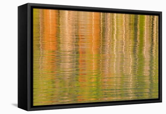 USA, Idaho. Reflections on Redfish Lake-Don Paulson-Framed Premier Image Canvas