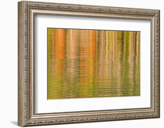 USA, Idaho. Reflections on Redfish Lake-Don Paulson-Framed Photographic Print