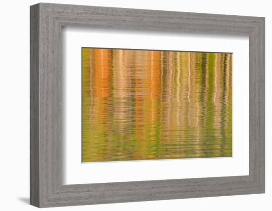 USA, Idaho. Reflections on Redfish Lake-Don Paulson-Framed Photographic Print