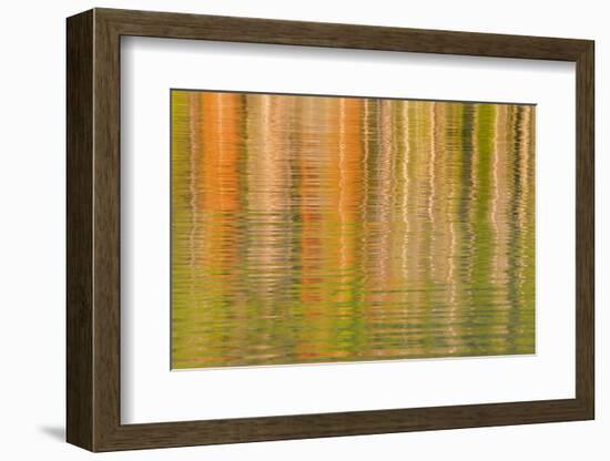 USA, Idaho. Reflections on Redfish Lake-Don Paulson-Framed Photographic Print