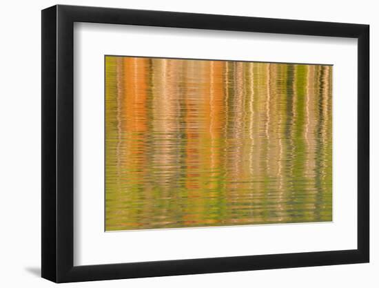 USA, Idaho. Reflections on Redfish Lake-Don Paulson-Framed Photographic Print