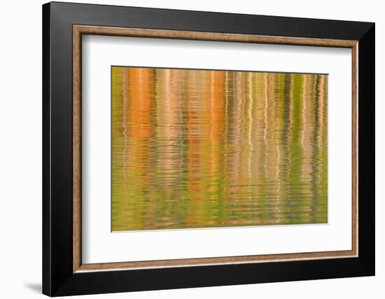 USA, Idaho. Reflections on Redfish Lake-Don Paulson-Framed Photographic Print