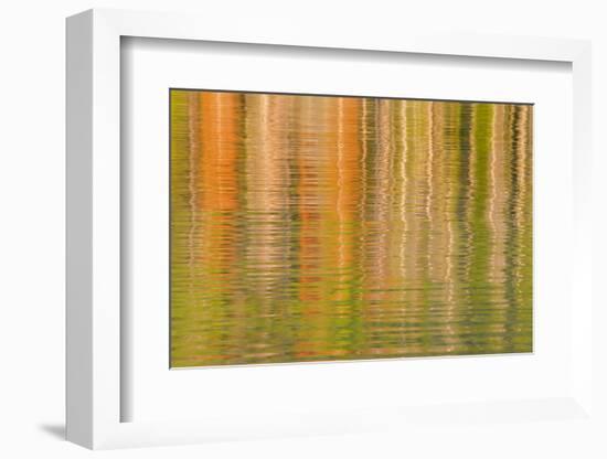 USA, Idaho. Reflections on Redfish Lake-Don Paulson-Framed Photographic Print