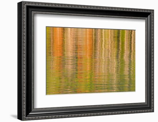 USA, Idaho. Reflections on Redfish Lake-Don Paulson-Framed Photographic Print