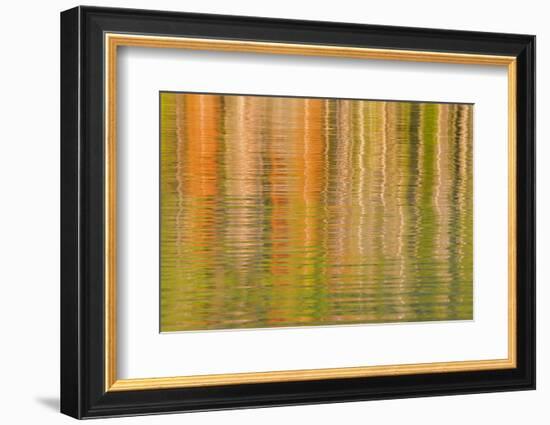 USA, Idaho. Reflections on Redfish Lake-Don Paulson-Framed Photographic Print