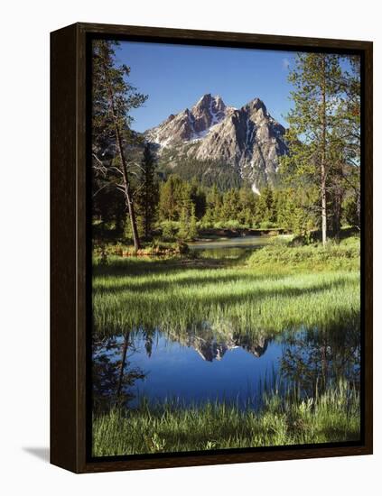 USA, Idaho, Sawtooth Wilderness, a Peak Reflecting in a Meadow Pond-Christopher Talbot Frank-Framed Premier Image Canvas