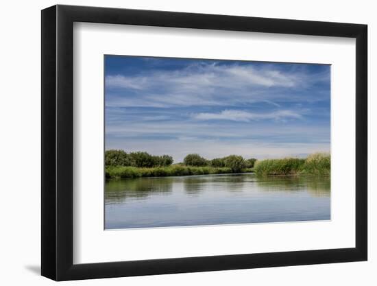 USA, Idaho. Teton River, willows and wetland near Driggs.-Howie Garber-Framed Photographic Print