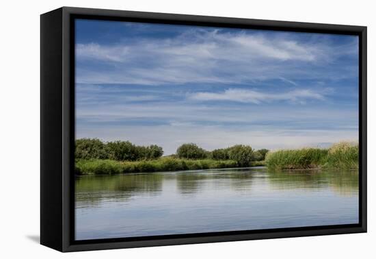 USA, Idaho. Teton River, willows and wetland near Driggs.-Howie Garber-Framed Premier Image Canvas