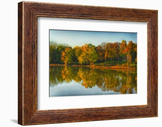 USA, Indiana, Autumn Trees Reflected in Wabash River-Rona Schwarz-Framed Photographic Print