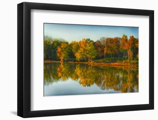 USA, Indiana, Autumn Trees Reflected in Wabash River-Rona Schwarz-Framed Photographic Print