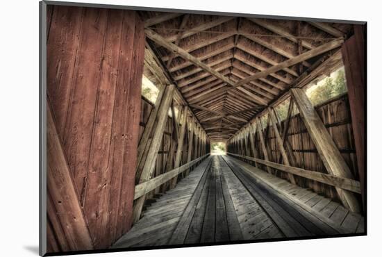 USA, Indiana, Carroll County. Lancaster Covered Bridge-Rona Schwarz-Mounted Photographic Print