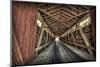 USA, Indiana, Carroll County. Lancaster Covered Bridge-Rona Schwarz-Mounted Photographic Print