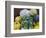 USA, Indiana, Indianapolis. Close-up of gourds.-Jaynes Gallery-Framed Photographic Print