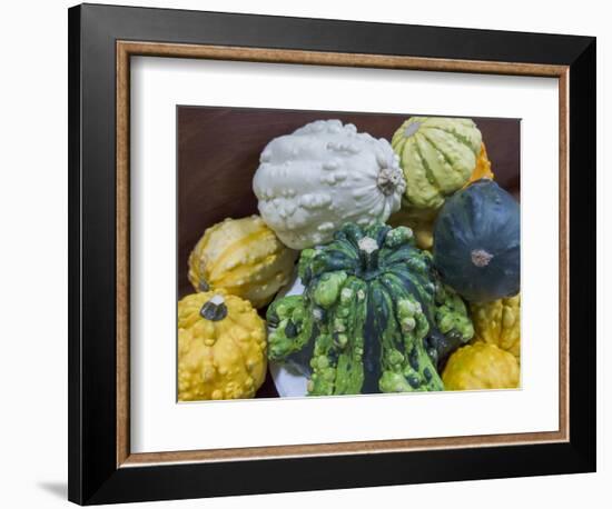 USA, Indiana, Indianapolis. Close-up of gourds.-Jaynes Gallery-Framed Photographic Print