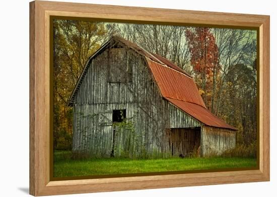 USA, Indiana. Rural Landscape, Vine Covered Barn with Red Roof-Rona Schwarz-Framed Premier Image Canvas