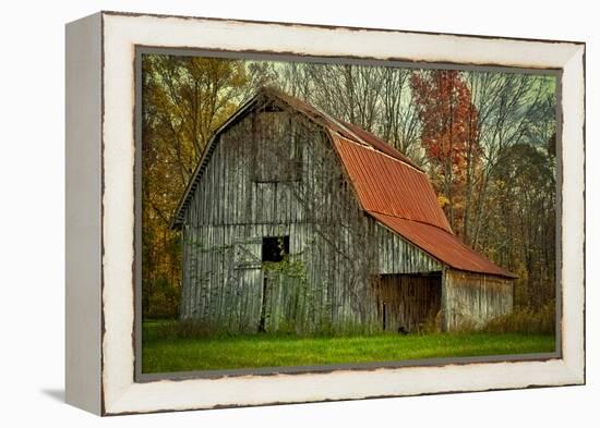 USA, Indiana. Rural Landscape, Vine Covered Barn with Red Roof-Rona Schwarz-Framed Premier Image Canvas