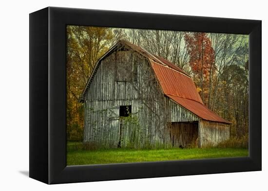 USA, Indiana. Rural Landscape, Vine Covered Barn with Red Roof-Rona Schwarz-Framed Premier Image Canvas