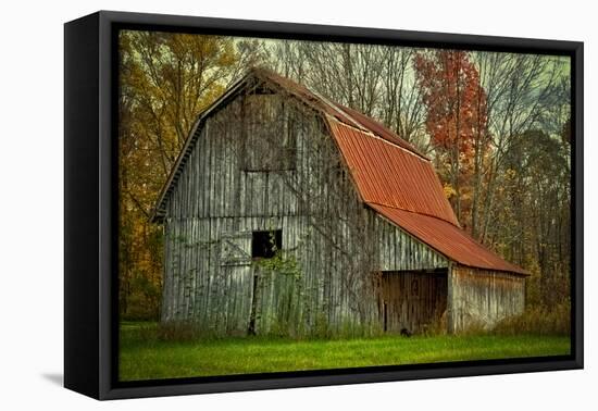 USA, Indiana. Rural Landscape, Vine Covered Barn with Red Roof-Rona Schwarz-Framed Premier Image Canvas