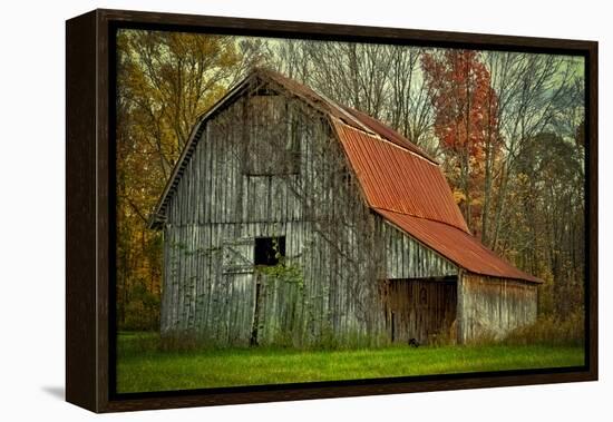 USA, Indiana. Rural Landscape, Vine Covered Barn with Red Roof-Rona Schwarz-Framed Premier Image Canvas