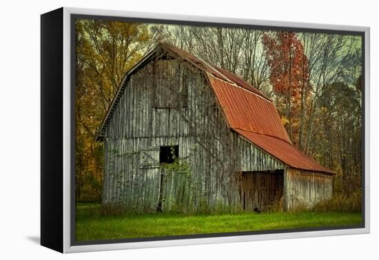 USA, Indiana. Rural Landscape, Vine Covered Barn with Red Roof-Rona Schwarz-Framed Premier Image Canvas