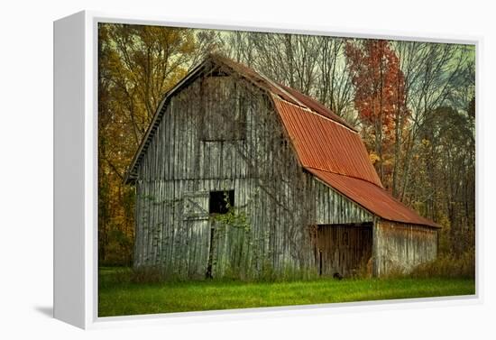 USA, Indiana. Rural Landscape, Vine Covered Barn with Red Roof-Rona Schwarz-Framed Premier Image Canvas