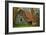 USA, Indiana. Rural Landscape, Vine Covered Barn with Red Roof-Rona Schwarz-Framed Photographic Print