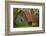 USA, Indiana. Rural Landscape, Vine Covered Barn with Red Roof-Rona Schwarz-Framed Photographic Print