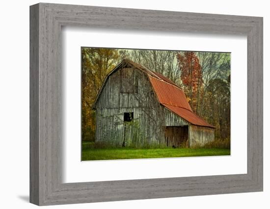 USA, Indiana. Rural Landscape, Vine Covered Barn with Red Roof-Rona Schwarz-Framed Photographic Print