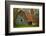 USA, Indiana. Rural Landscape, Vine Covered Barn with Red Roof-Rona Schwarz-Framed Photographic Print