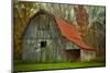 USA, Indiana. Rural Landscape, Vine Covered Barn with Red Roof-Rona Schwarz-Mounted Photographic Print