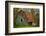 USA, Indiana. Rural Landscape, Vine Covered Barn with Red Roof-Rona Schwarz-Framed Photographic Print