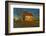 USA, Indiana, Rural Scene of Red Roofed Barn-Rona Schwarz-Framed Photographic Print