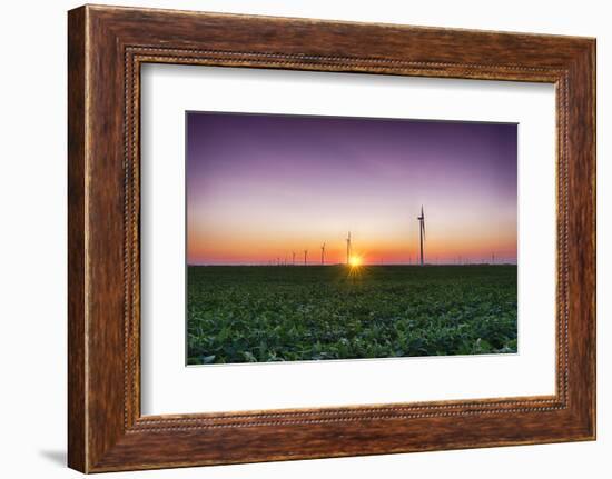 USA, Indiana. Soybean Field and Wind Farm at Sundown-Rona Schwarz-Framed Photographic Print