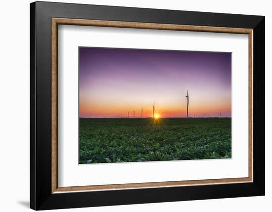 USA, Indiana. Soybean Field and Wind Farm at Sundown-Rona Schwarz-Framed Photographic Print