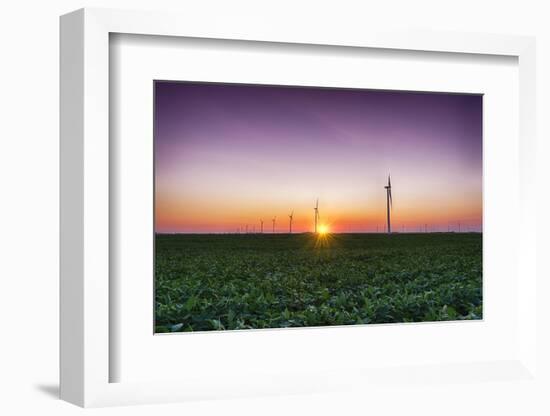 USA, Indiana. Soybean Field and Wind Farm at Sundown-Rona Schwarz-Framed Photographic Print