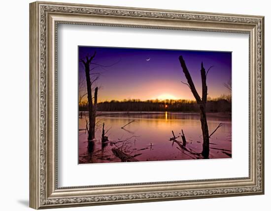 USA, Indiana, the Celery Bog Wetlands in Winter at Sunset-Rona Schwarz-Framed Photographic Print