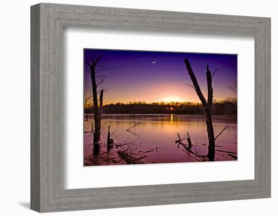 USA, Indiana, the Celery Bog Wetlands in Winter at Sunset-Rona Schwarz-Framed Photographic Print