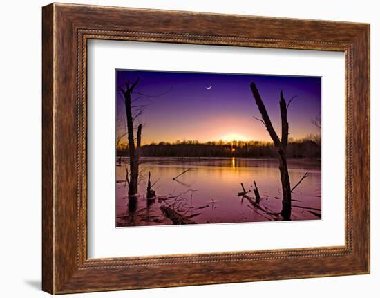 USA, Indiana, the Celery Bog Wetlands in Winter at Sunset-Rona Schwarz-Framed Photographic Print