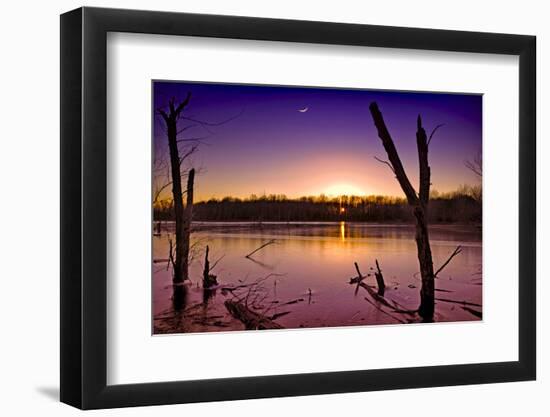 USA, Indiana, the Celery Bog Wetlands in Winter at Sunset-Rona Schwarz-Framed Photographic Print