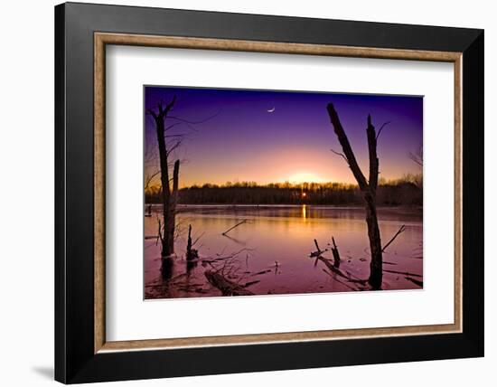 USA, Indiana, the Celery Bog Wetlands in Winter at Sunset-Rona Schwarz-Framed Photographic Print