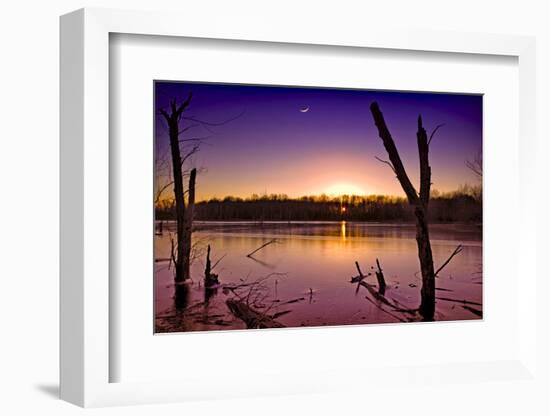 USA, Indiana, the Celery Bog Wetlands in Winter at Sunset-Rona Schwarz-Framed Photographic Print