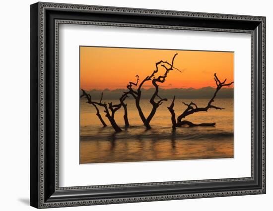 USA, Jekyll Island, Georgia. Driftwood Beach at sunrise.-Joanne Wells-Framed Photographic Print