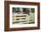 USA, Kentucky, Lexington. Horse at Fence-Jaynes Gallery-Framed Photographic Print