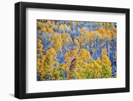 USA, Lee Vining, California. Conway Pass, Mono County.-Joe Restuccia III-Framed Photographic Print