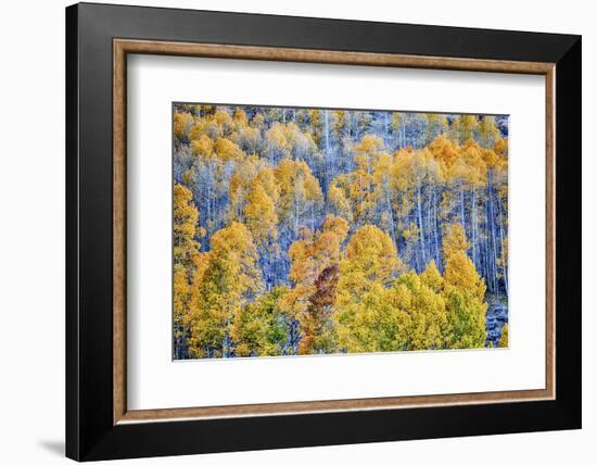 USA, Lee Vining, California. Conway Pass, Mono County.-Joe Restuccia III-Framed Photographic Print