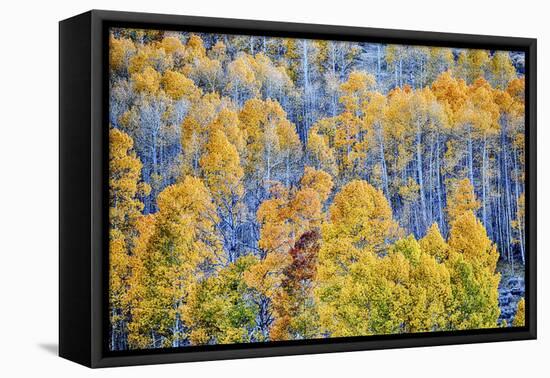 USA, Lee Vining, California. Conway Pass, Mono County.-Joe Restuccia III-Framed Premier Image Canvas