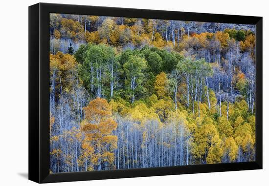 USA, Lee Vining, California. Conway Pass, Mono County.-Joe Restuccia III-Framed Premier Image Canvas