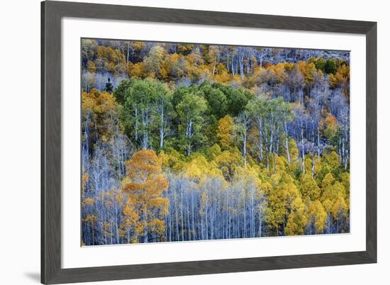 USA, Lee Vining, California. Conway Pass, Mono County.-Joe Restuccia III-Framed Premium Photographic Print