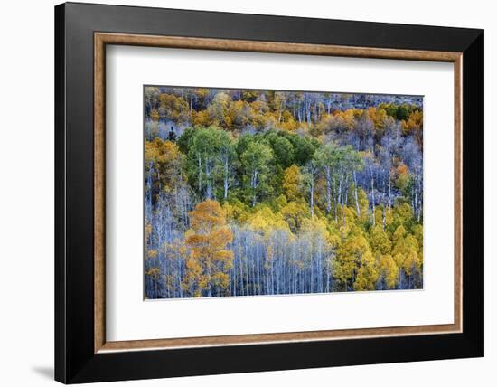 USA, Lee Vining, California. Conway Pass, Mono County.-Joe Restuccia III-Framed Photographic Print